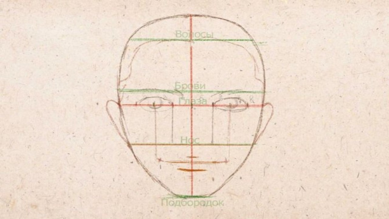 Основание лица. Портрет пропорции лица человека поэтапно. Пропорции лица человека для рисования. Схема лица человека для рисования. Разметка лица для рисования.