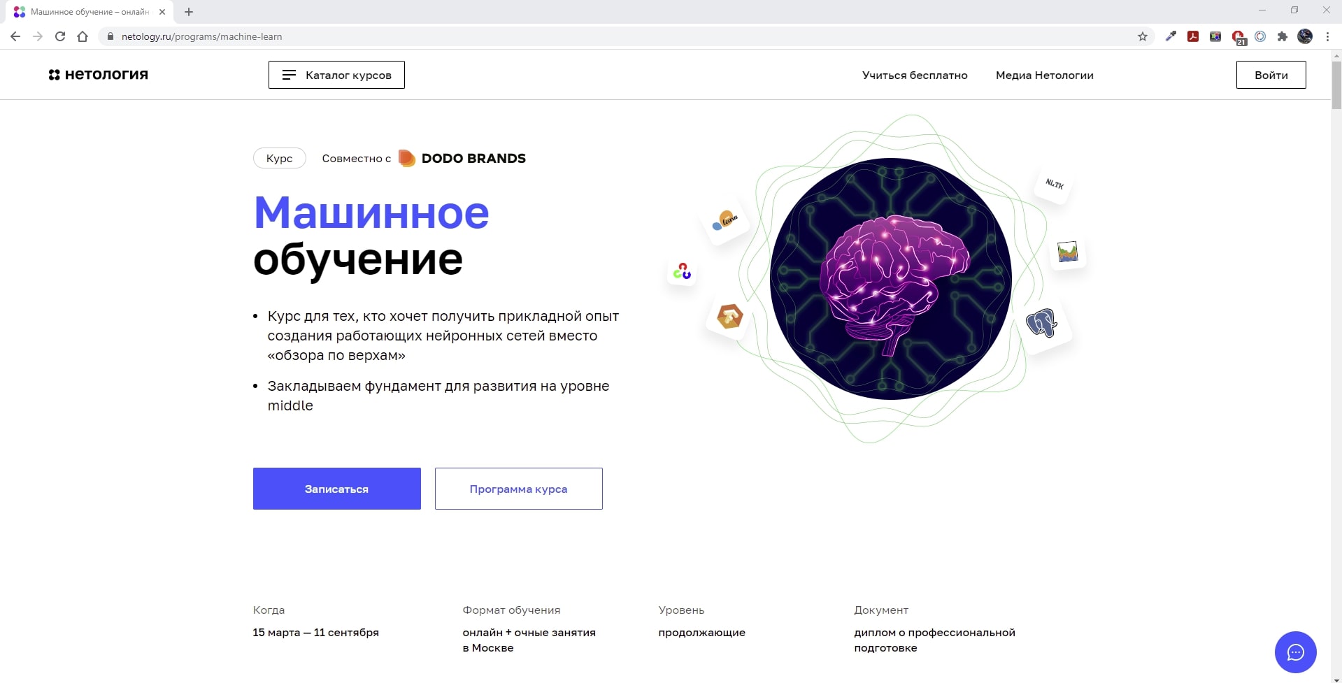 Нетология разработчик